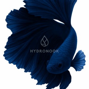 Dark Blue Half Moon Betta Fish